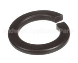 X40111A Globe Washer