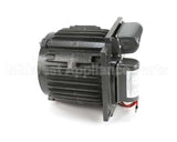 X60068-2 Globe Motor Sp60P (3Hp) 220/60/1