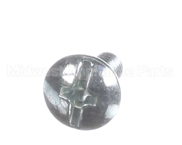 X80B30 Globe Screw