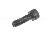 X80B52 Globe Screw