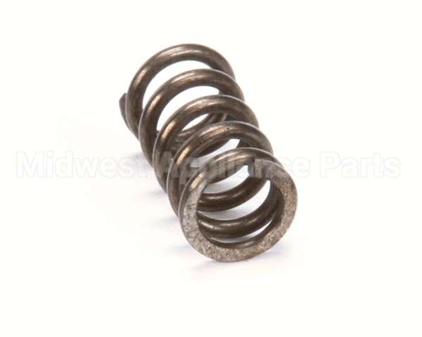 X80E20 Globe Spring