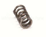 X80E20 Globe Spring