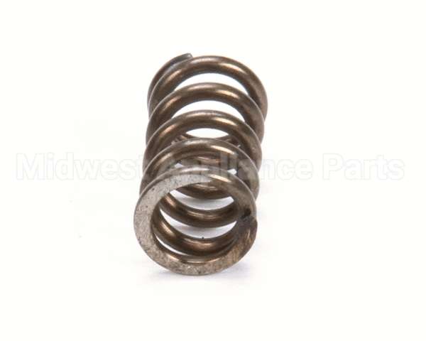X80E20 Globe Spring