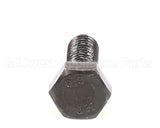X80F25 Globe M8 X 25 Screw