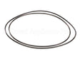 X80G05 Globe O-Ring