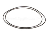 X80G05 Globe O-Ring