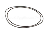 X80G05 Globe O-Ring