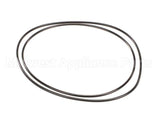 X80G05 Globe O-Ring