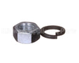 X80H49 Globe Washer
