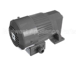 X80H56 Globe Motor, Bowl Raise 1/8 Hp