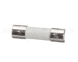 X80J22A Globe Fuse (250 Volt / 500Ma)