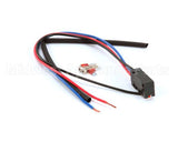 X80J35-1 Globe Microswitch - New Style