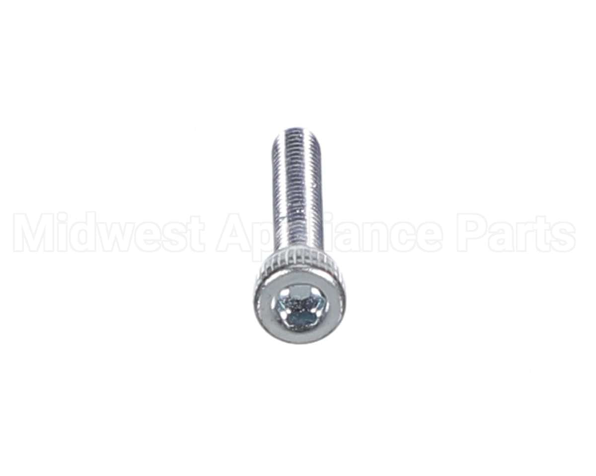 X80J36 Globe Screw