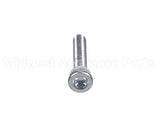 X80J36 Globe Screw
