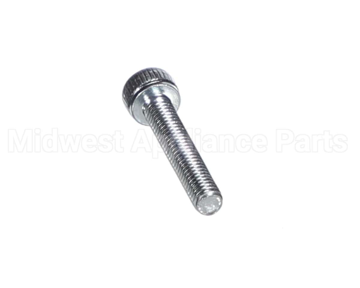 X80J36 Globe Screw