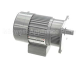 XA-8038-3 Globe Motor, Bowl Raise 1/8 Hp New