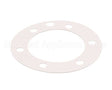 XP1011 Globe Fiber Gasket (Xvga/Xvsa)
