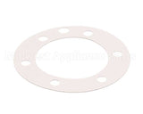 XP1011 Globe Fiber Gasket (Xvga/Xvsa)