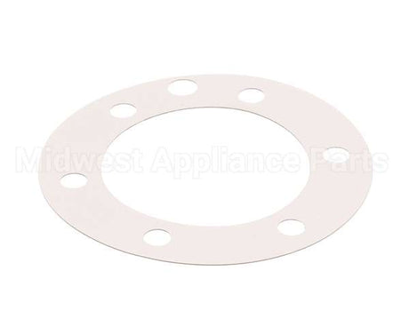 XP1011 Globe Fiber Gasket (Xvga/Xvsa)