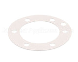 XP1011 Globe Fiber Gasket (Xvga/Xvsa)