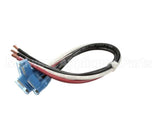 XR01 Food Warming Wiring Harness