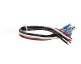 XR01 Food Warming Wiring Harness