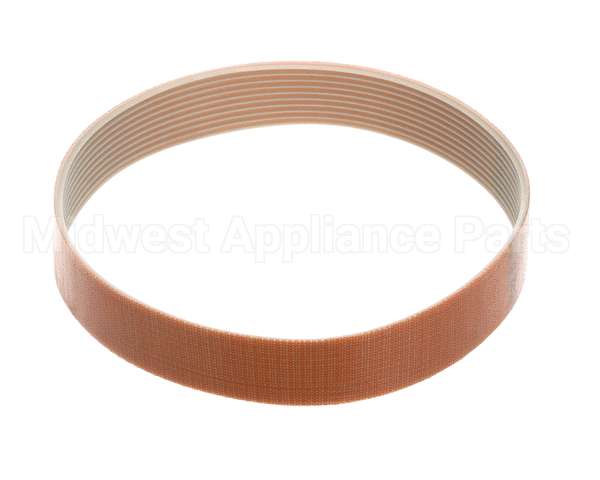 XSSL5006 Vollrath Belt