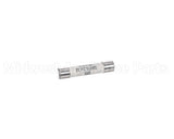 XSVM00011 Vollrath 16A Fuse