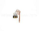 Z002180 Groen Thermostat (012838)