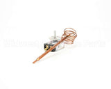 Z002180 Groen Thermostat (012838)