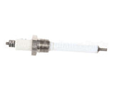 Z014356 Groen Electrode Water Level