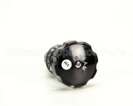 Z055279 Groen Valve Globe 3/8 Npt