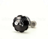 Z055279 Groen Valve Globe 3/8 Npt