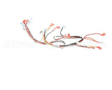 Z074814 Groen Harness Wire Tdb/8-20-Cfc