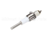 Z076526 Groen Water Level Probe, Ngb-2 Boile
