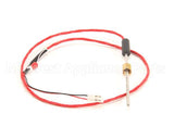 Z093381 Groen Kit Boiler Probe