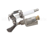 Z096705 Groen Pilot Burner Natural Gas