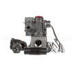 Z097001 Groen Kit Gas Valve