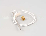 Z098418 Groen Kit Temperature Probe
