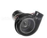 ZWA63549-001 Zesto Motor/Blower-120/50-60Hz For W